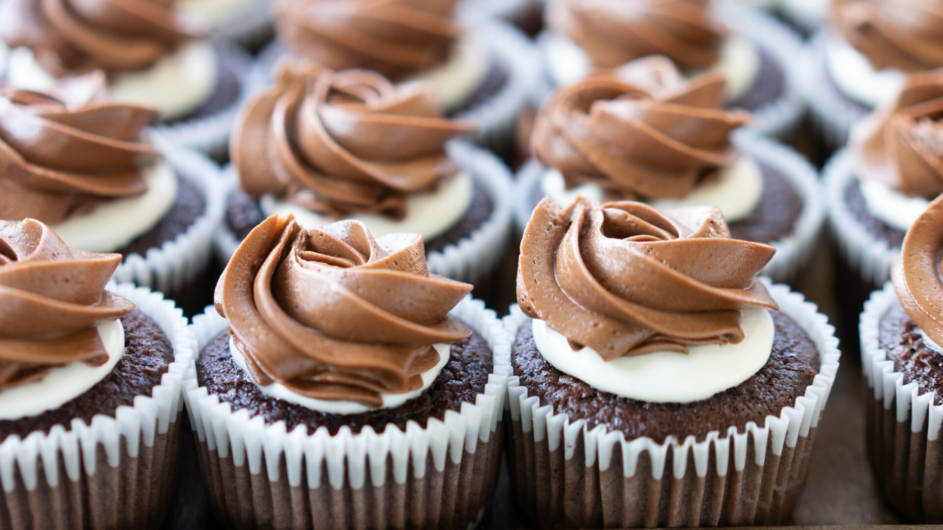 YH5BAEAAAAALAAAAAABAAEAAAIBRAA7, Food Prep