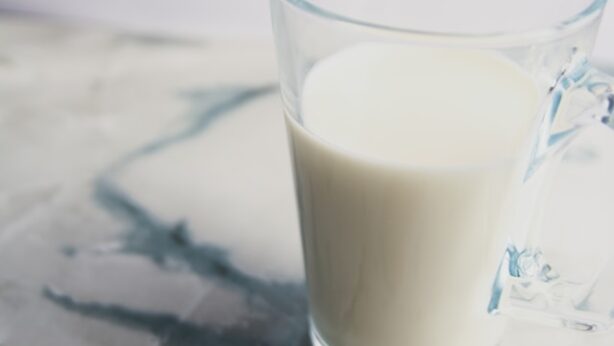 YH5BAEAAAAALAAAAAABAAEAAAIBRAA7, Food Prep